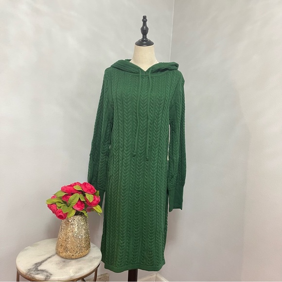 Eliza J Hunter Green Cable Knit Drawstring Hood Sweater Dress- New - Reemoly - Picture 7 of 15